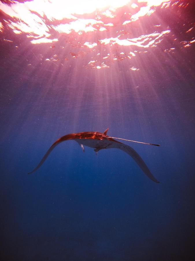 Shallow Lagoon Rasdhoo Exterior photo